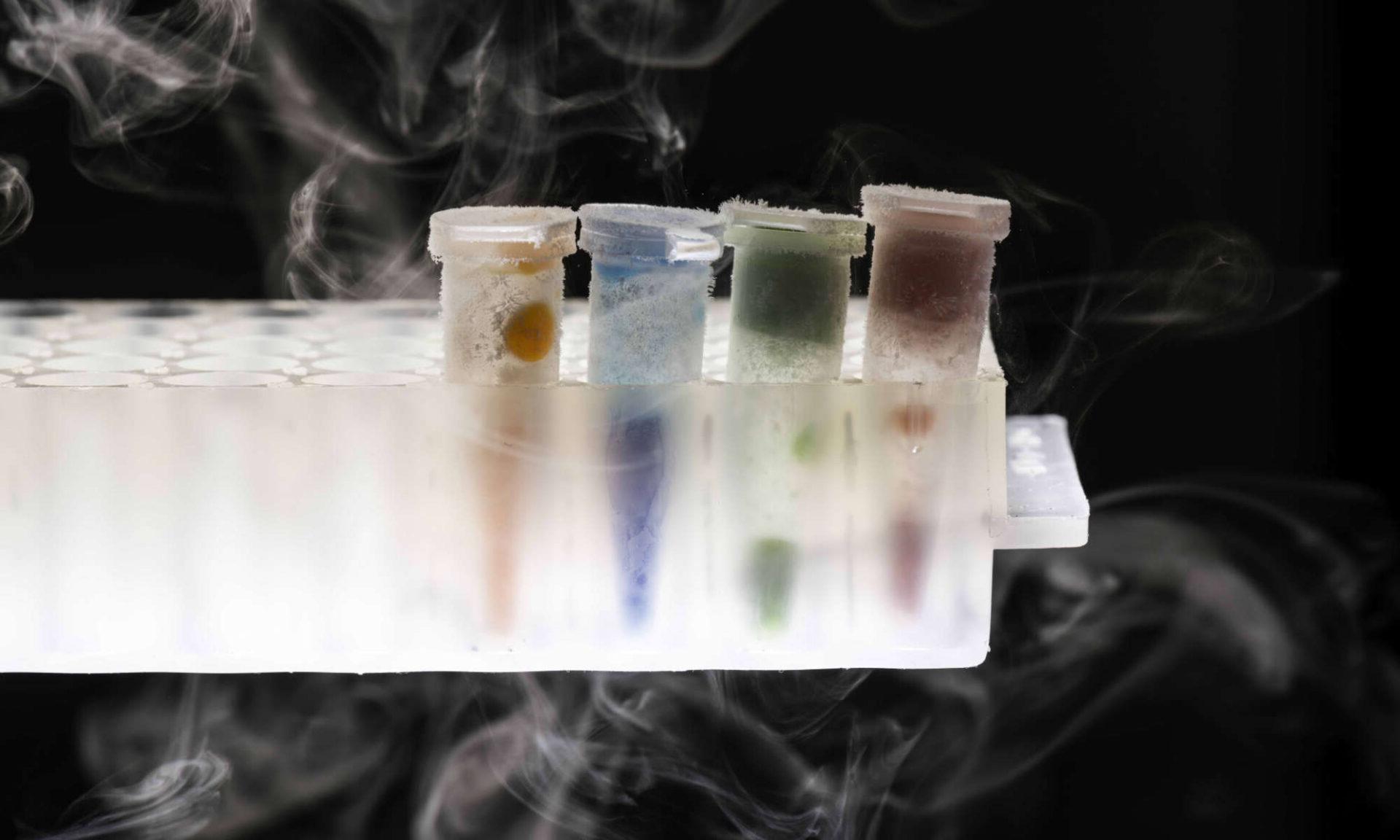 Four tubes, 每个都有不同的颜色, 含有冷冻在液氮中的水凝胶，通过生物3d打印获得.